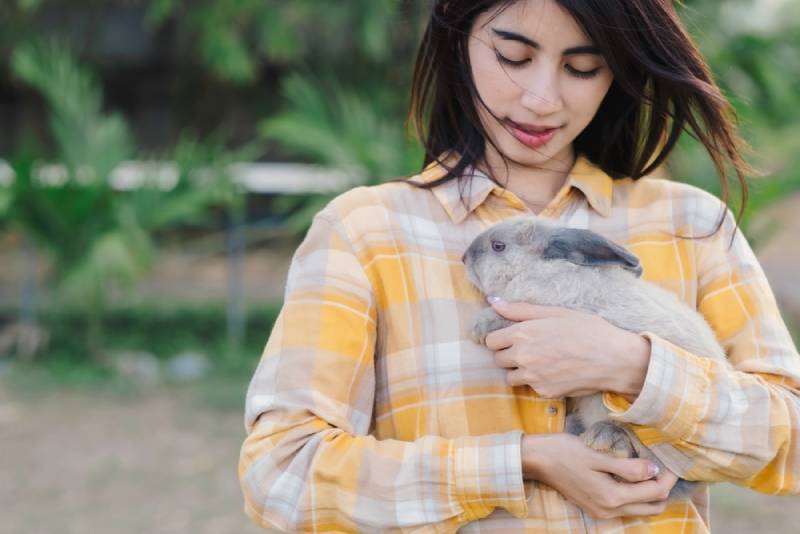 Cute gray rabbit afraid of new place outside and try to be aware with owner at chest