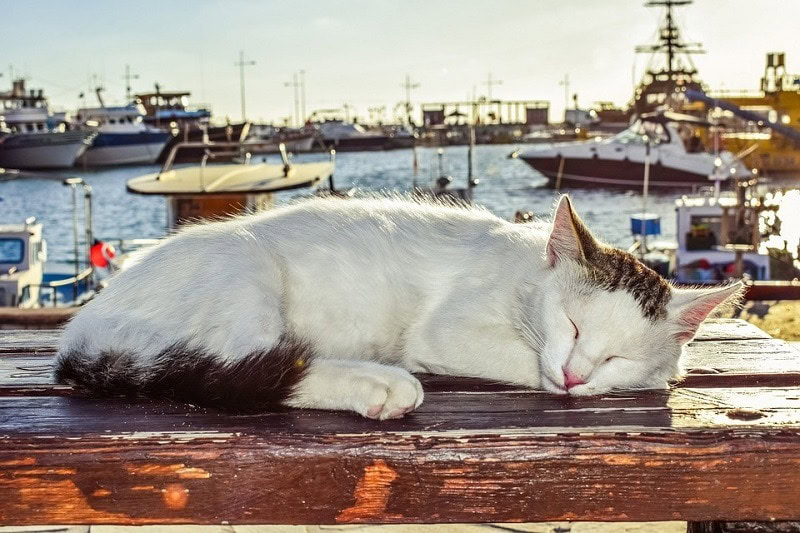 Cyprus