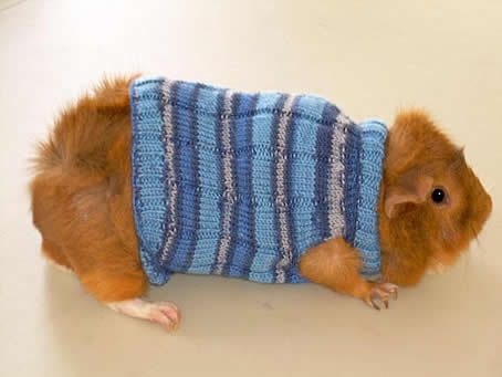 DIY A Simple Sweater