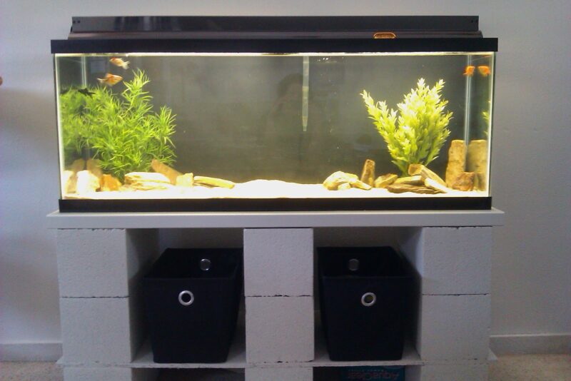 DIY Aquarium Cinder Block Stand