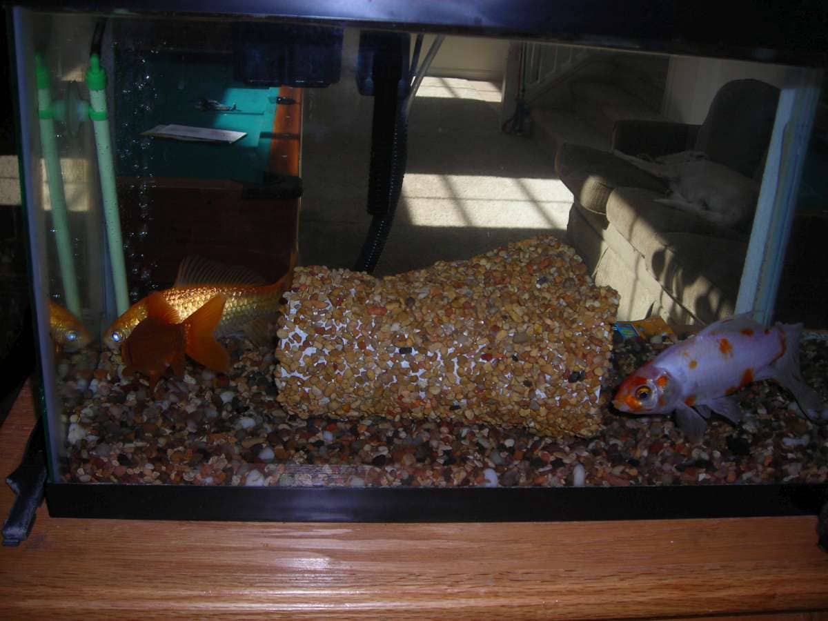 DIY Aquarium Tunnels