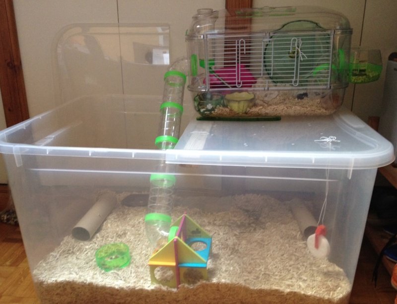 DIY Bin Cage