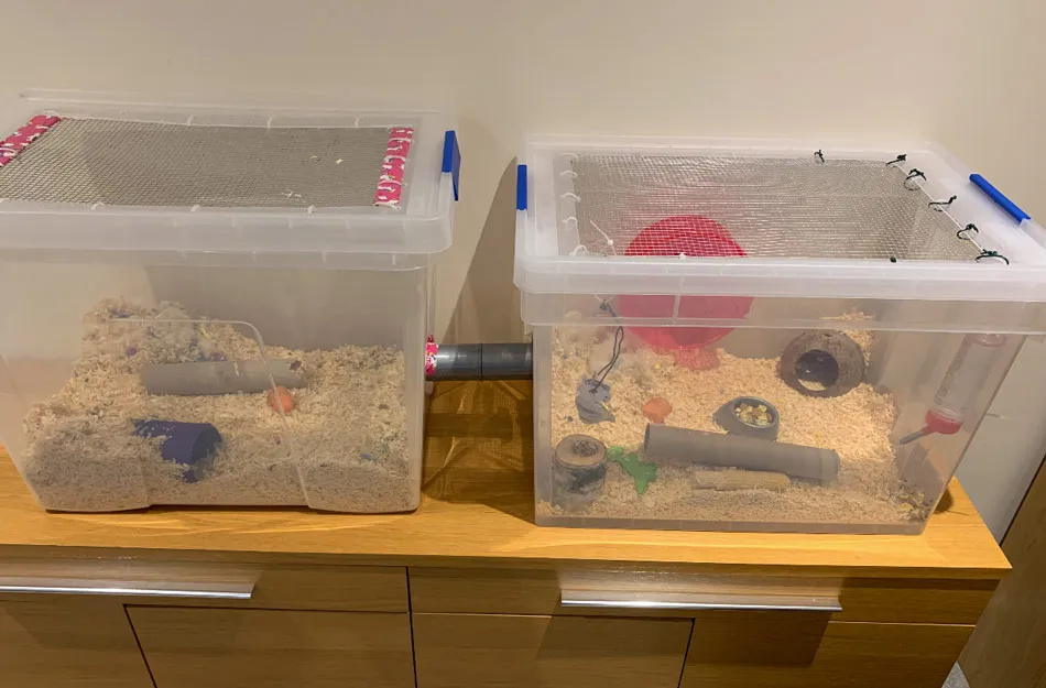 DIY Bin Cage