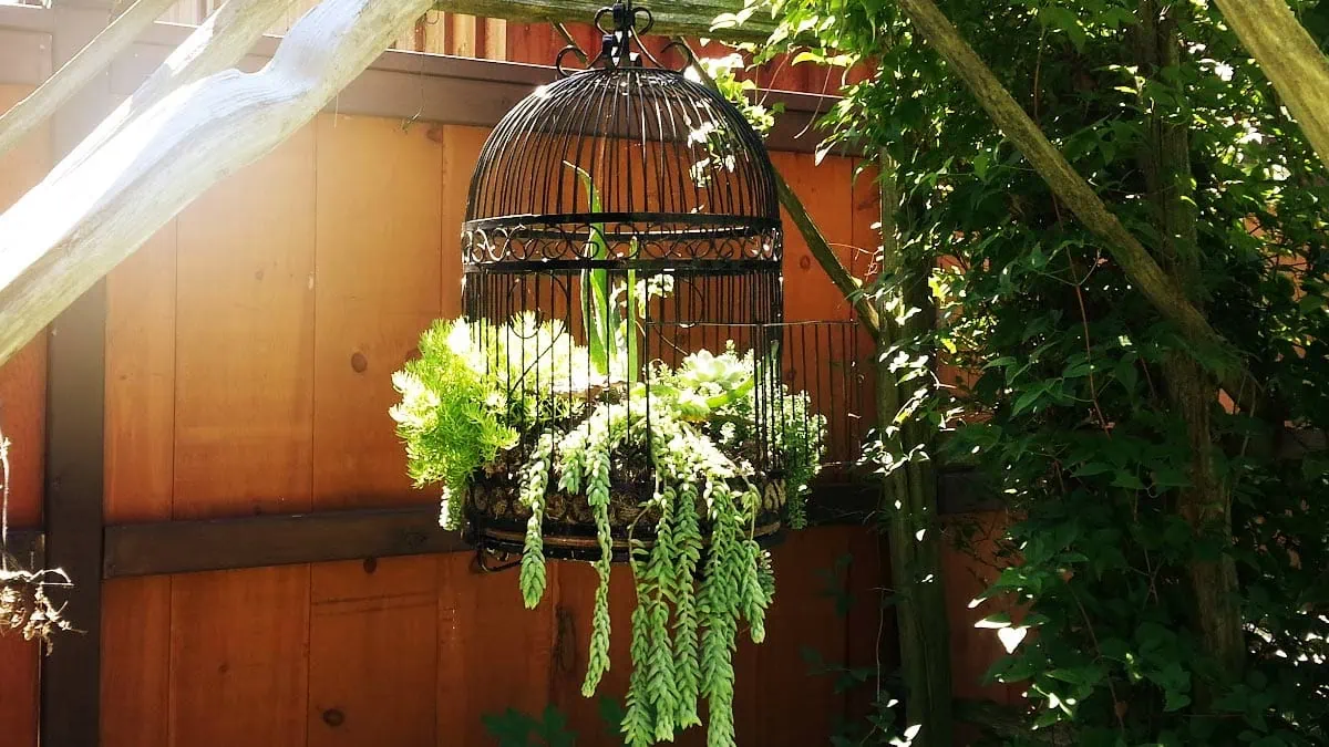 DIY Birdcage Planter