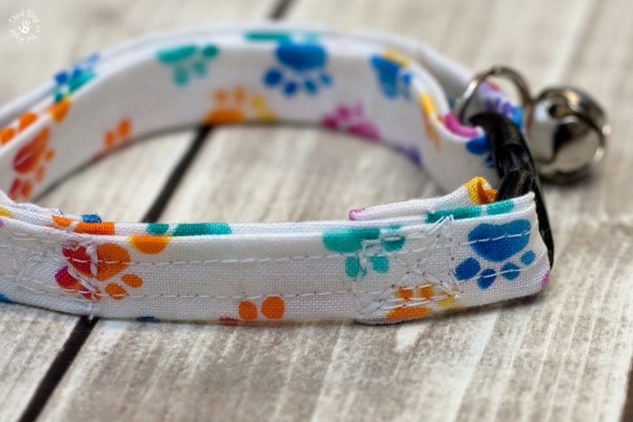 DIY Breakaway Cat Collar
