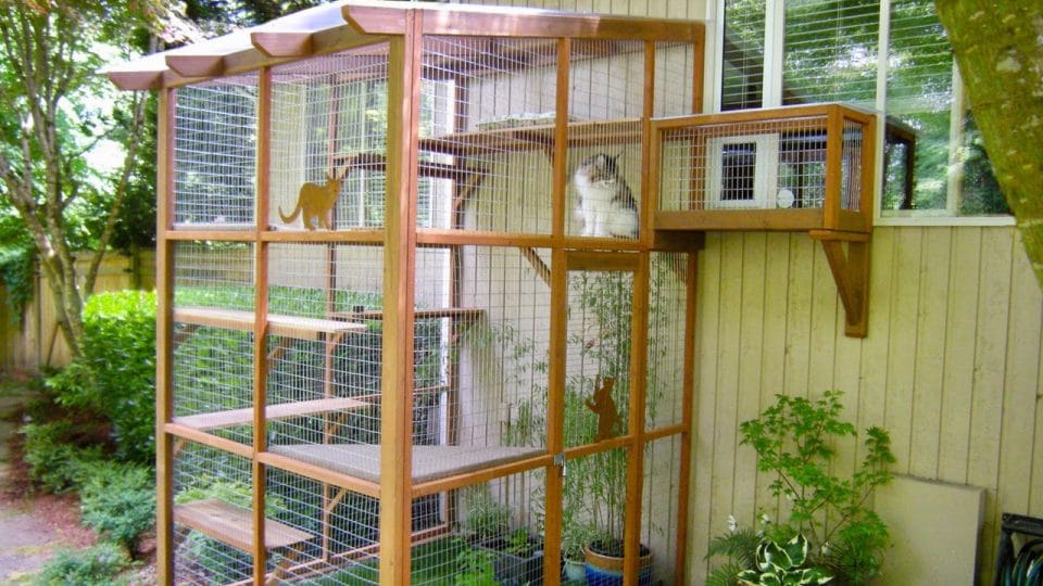 DIY Build Your Own Catio by The Dog People