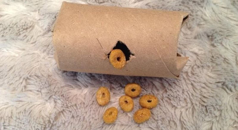 DIY Cardboard Cat