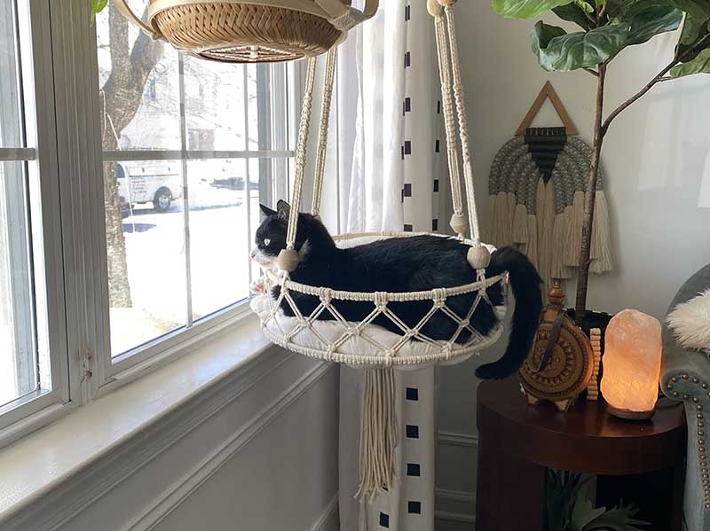 DIY Cat Bed