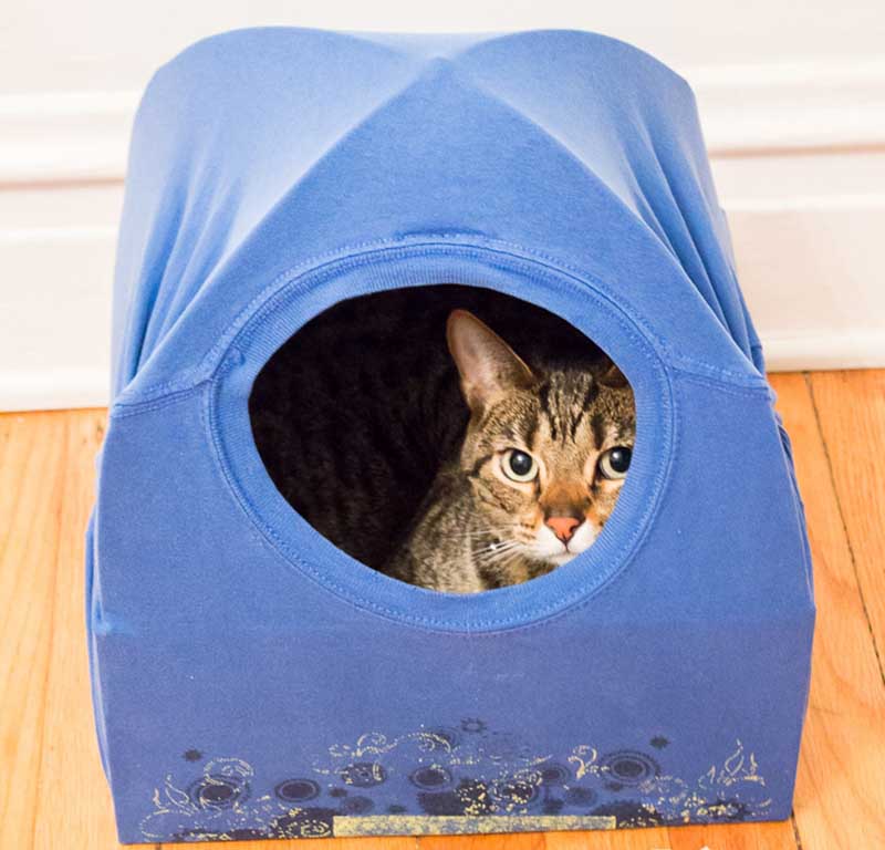 DIY Cat Bed