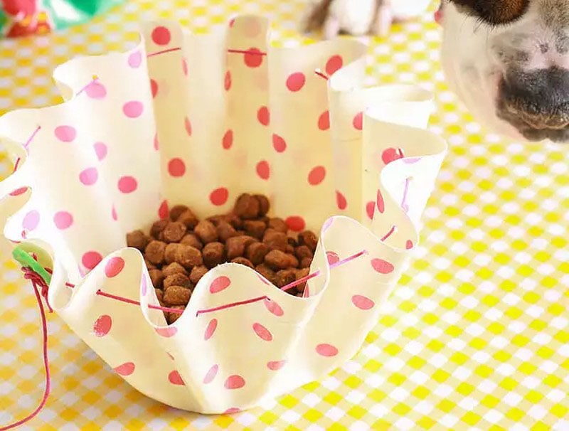 DIY Cat Bowl