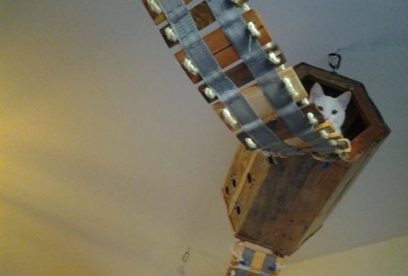 DIY Cat Bridges