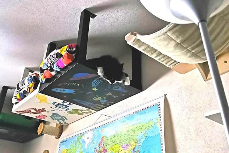 DIY Cat Bridges