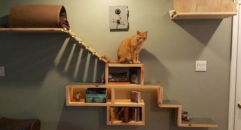 DIY Cat Bridges