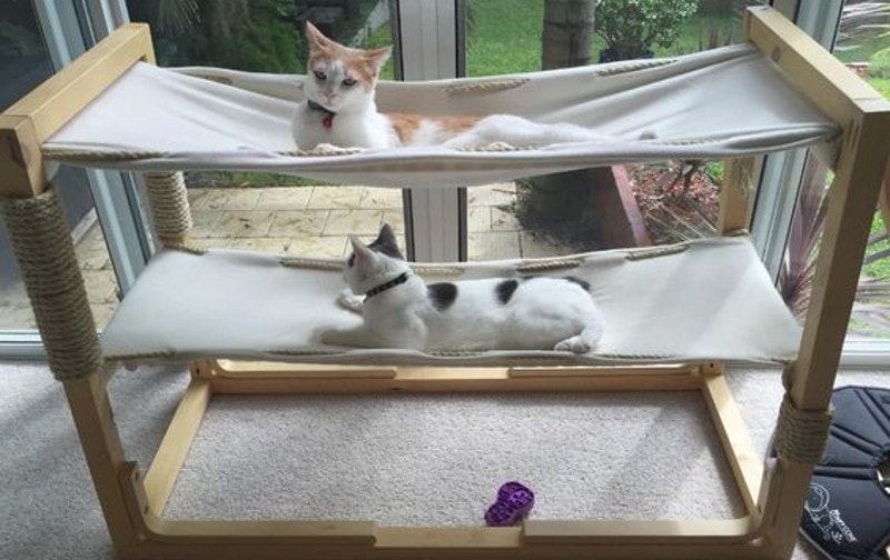 DIY Cat Bunk Bed