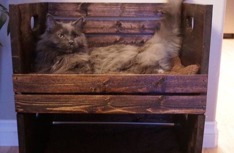 DIY Cat Bunk Bed