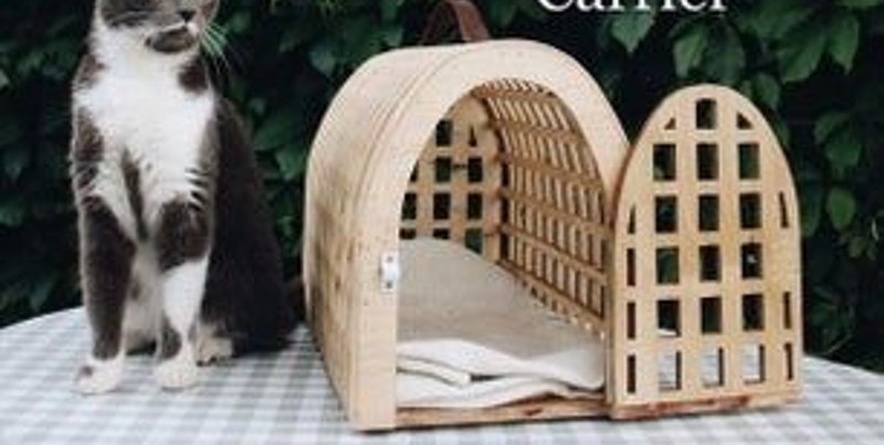 DIY Cat Carrier