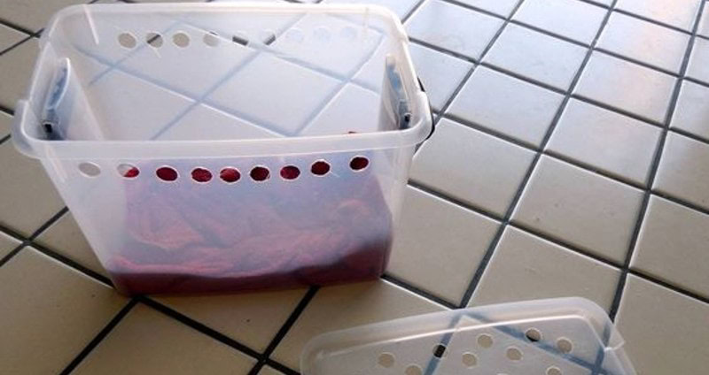 DIY Cat Carrier