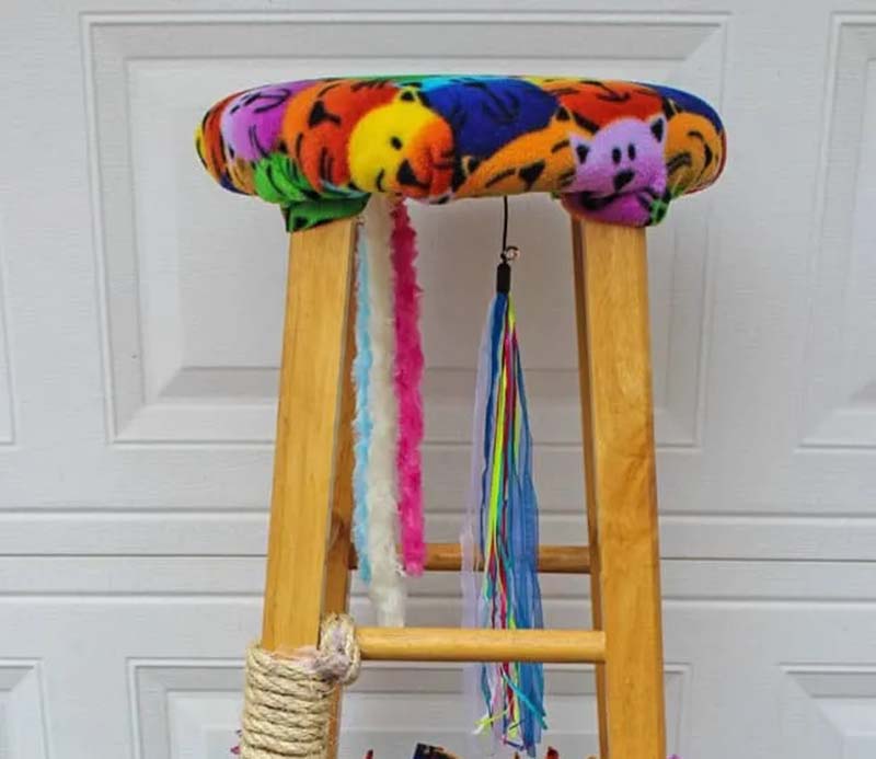 DIY Cat Enrichment