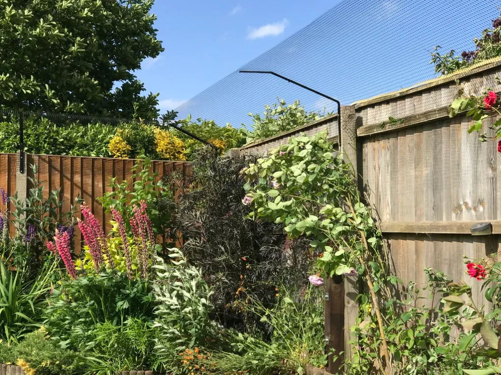 DIY Cat Fence