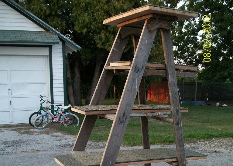DIY Cat Ladder Plans