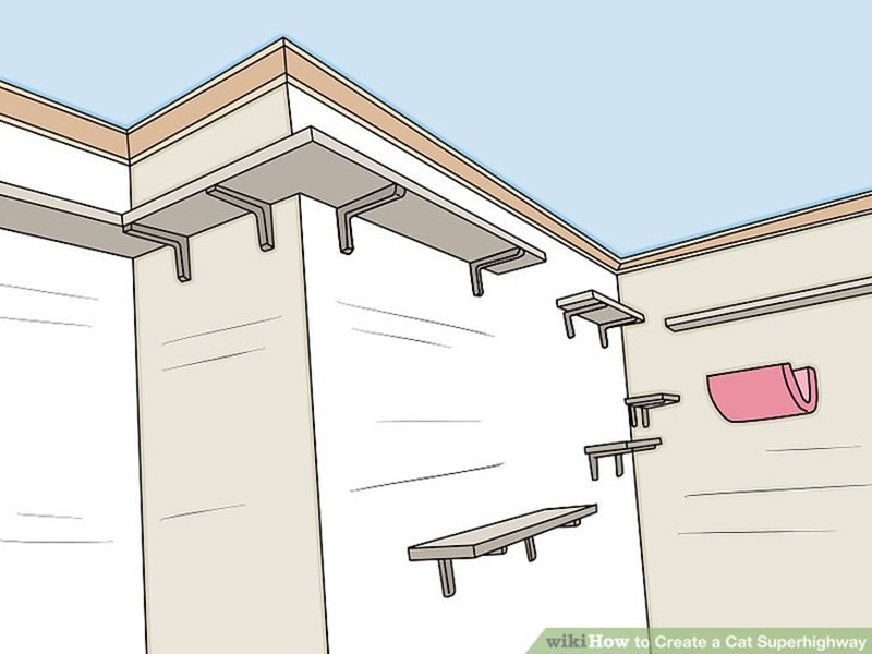 DIY Cat Ladder Plans