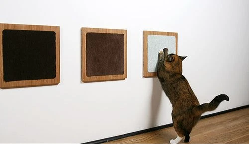 DIY Cat Scratcher