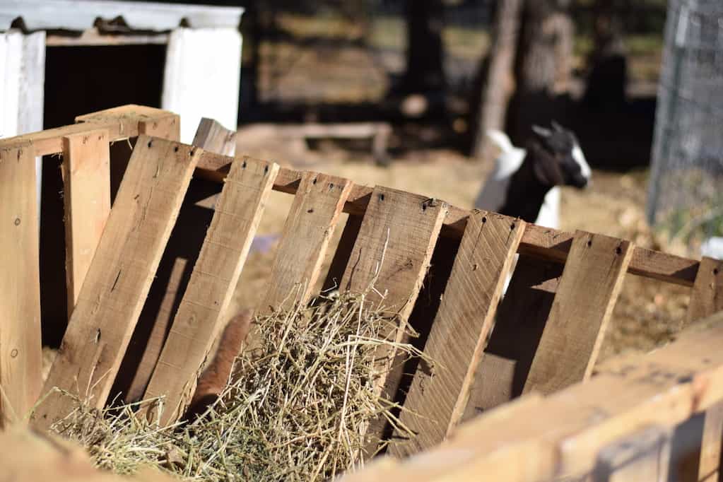 DIY Cheap Pallet Hay Feeder