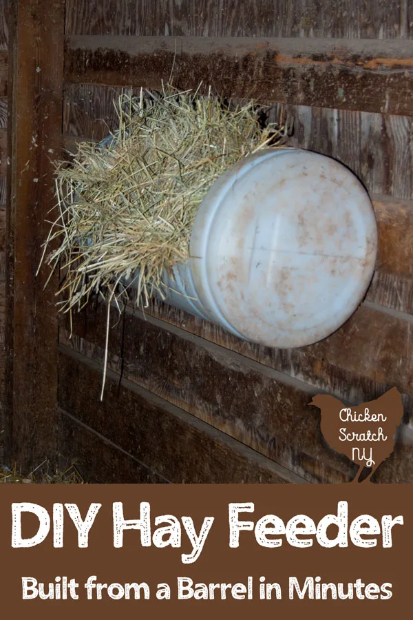 DIY Clever Barrel Feeder