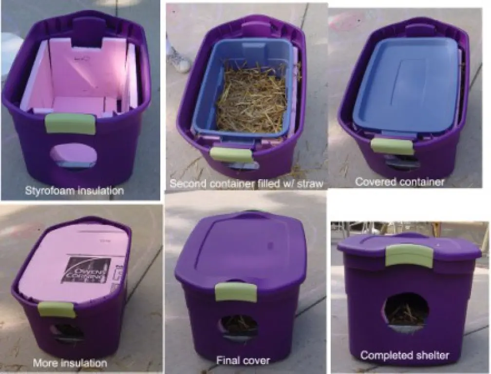 DIY Cost-Friendly Outside Cat House