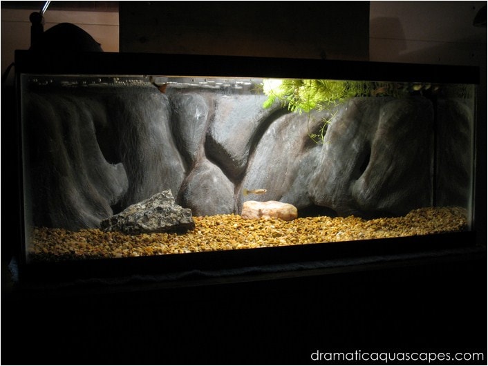 DIY Custom Aquarium Background
