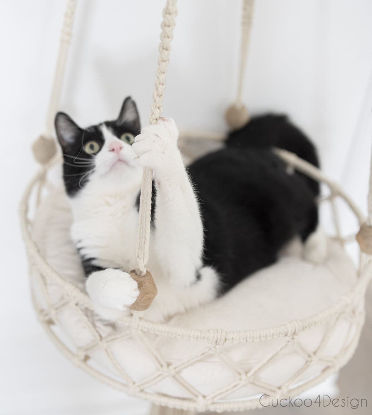 DIY Cute Cat Bed Using Macrame Cord