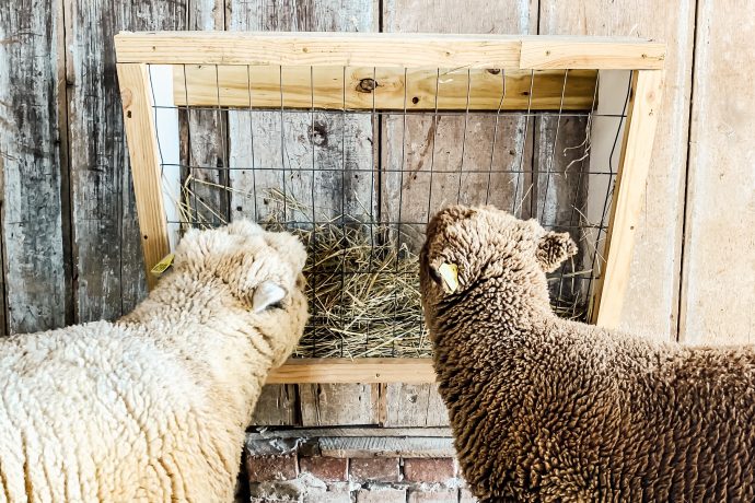 DIY Cute Wall Mount Feeder