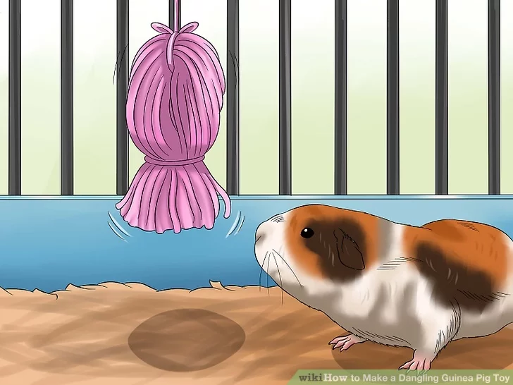 DIY Dangling Toy