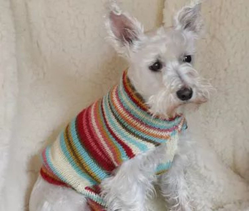 DIY Dog Sweater Plan