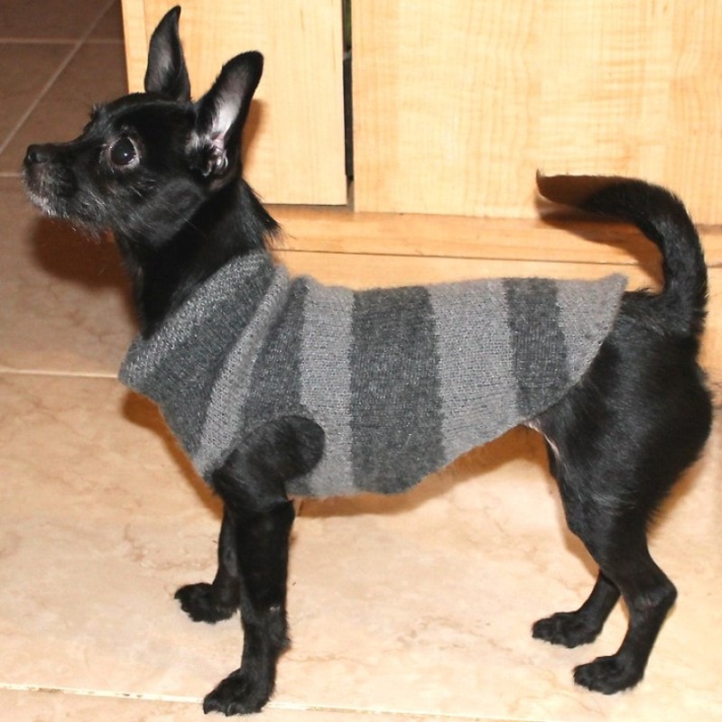 DIY Dog Sweater Plan
