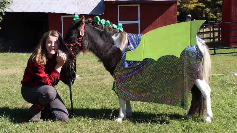 DIY Dragon Costume