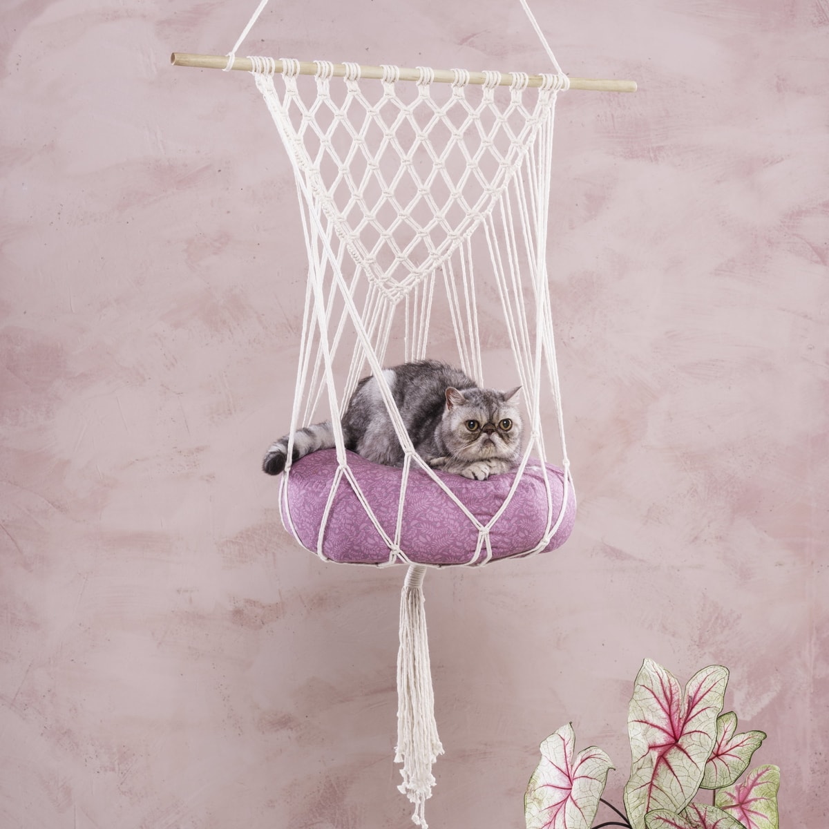 DIY Easy Macrame Cat Hammock