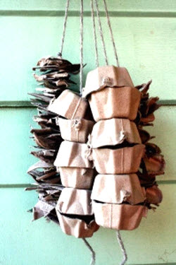 DIY Egg Carton Foraging Toy