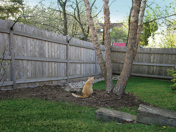DIY Existing Fence Conversion System
