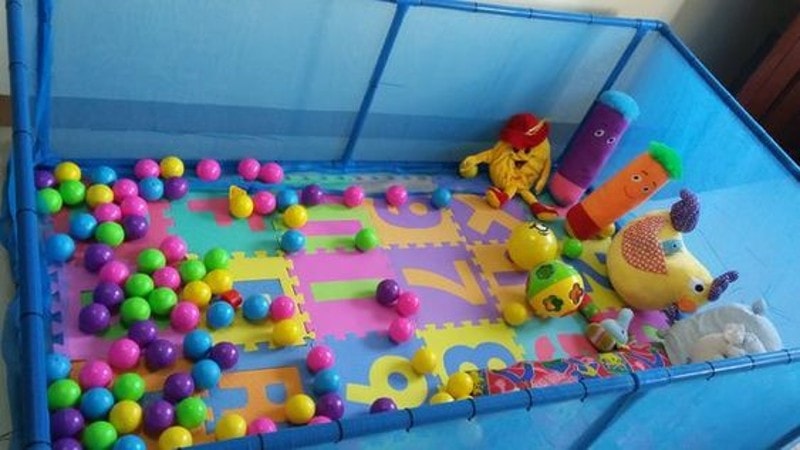 DIY Ferret Playpen and Playground