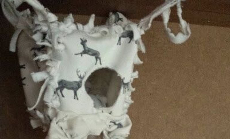 DIY Ferret Toys