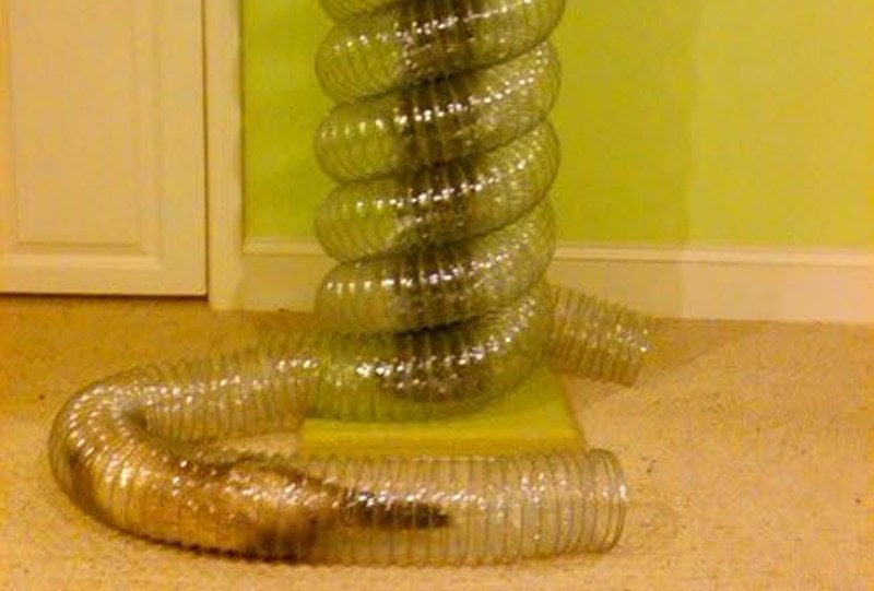 DIY Ferret Toys