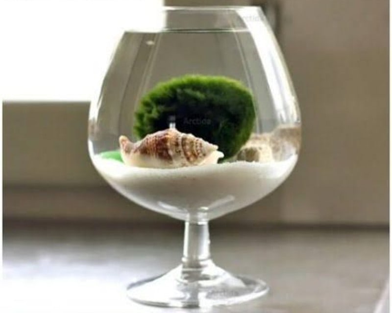 DIY Fish Tank Decor