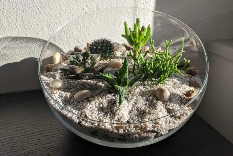 DIY Fish Tank Decor