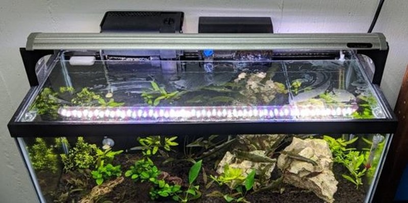 DIY Fish Tank Lid