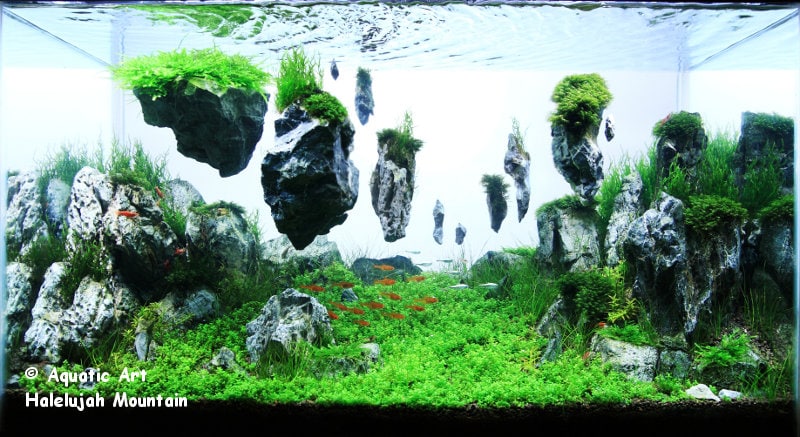 DIY Floating Aquarium Island