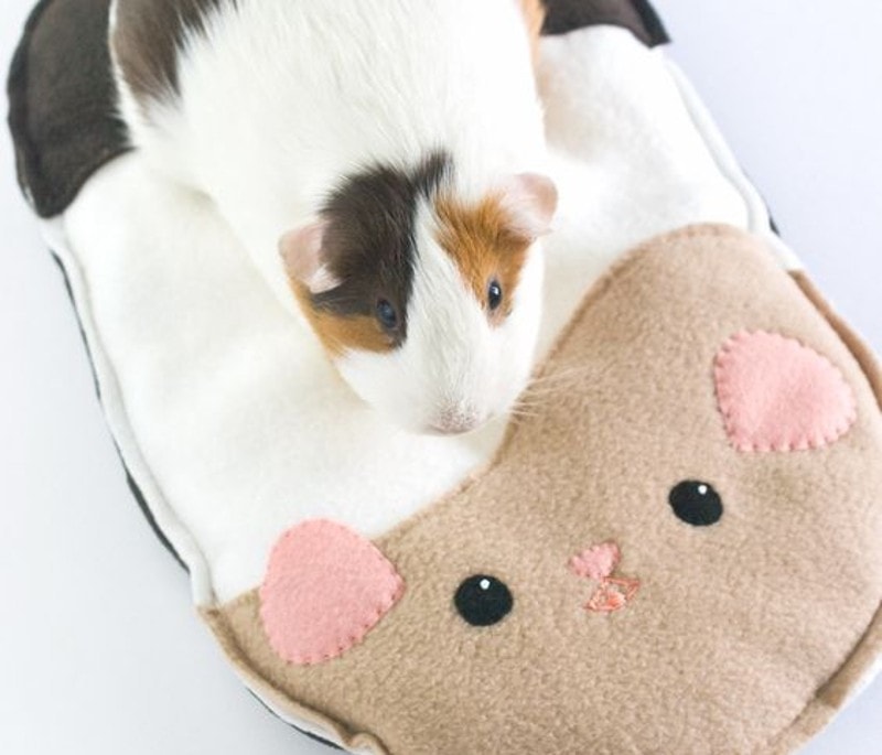 DIY Guinea Pig Beds