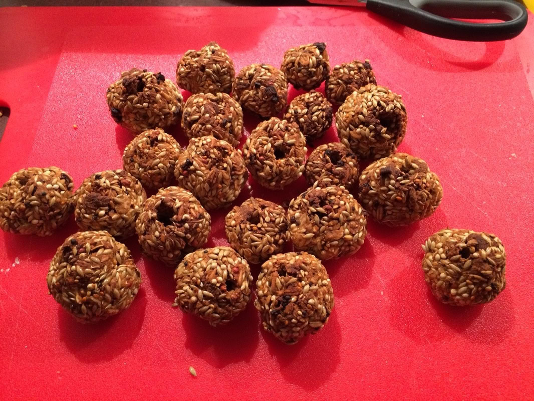 DIY Homemade Bird Treats