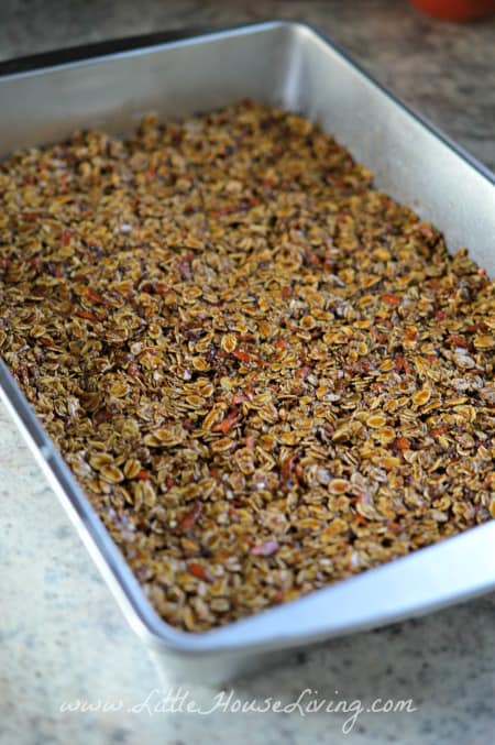 DIY Homemade Equine Treats
