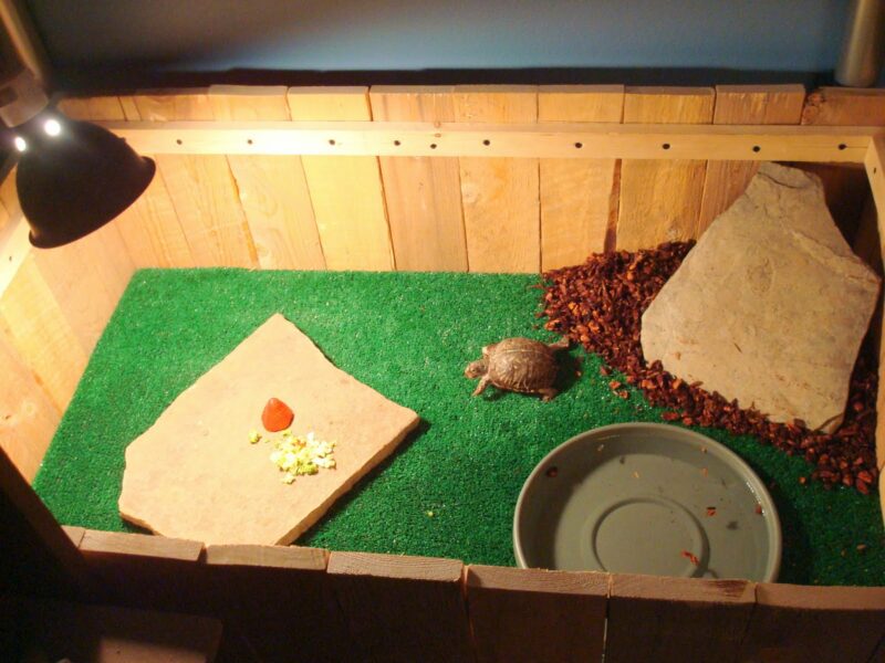 DIY Indoor Box Turtle Habitat